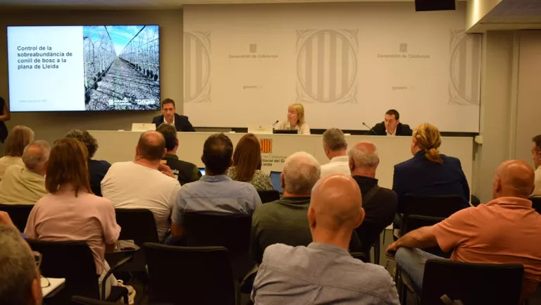 El Govern activa un nou pla per combatre la sobrepoblació de conills amb 1,5 milions per ajuts