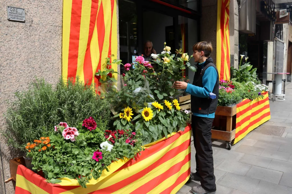⏯️ Llibreries i floristeries s'avancen a Sant Jordi amb parades al carrer