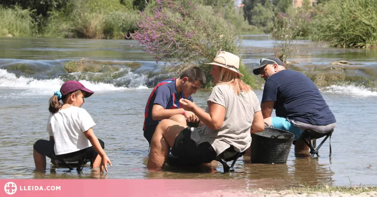 ⏯️ El Centre d'Interpretació de l'Or del Segre, un referent turístic que compleix 10 anys