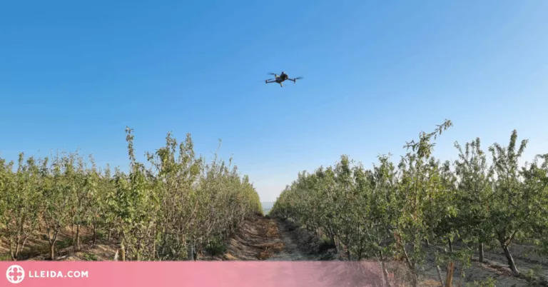 La UdL, en un projecte europeu per digitalitzar els sectors agroalimentari i forestal
