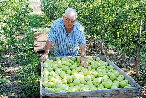 El Govern calcula que la renda agrària va pujar el 3,3% l’any passat, fins als 1.723 milions