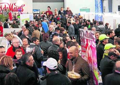 Maials tanca la Fira de l'Oli amb 8.000 visitants i 10.000 litres venuts