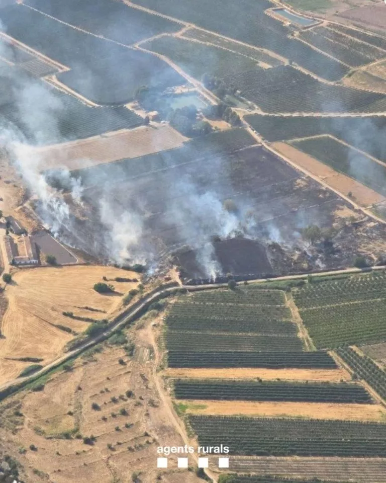 L'Ajuntament d'Artesa de Lleida condemna els incendis "provocats a causa d'actes incívics" durant la revetlla
