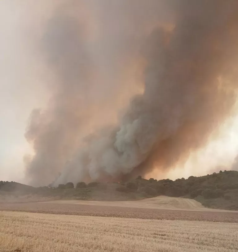 El foc de Tamarit, a la franja de Ponent, ha cremat 1.000 hectàrees dins d'un perímetre de 4.000