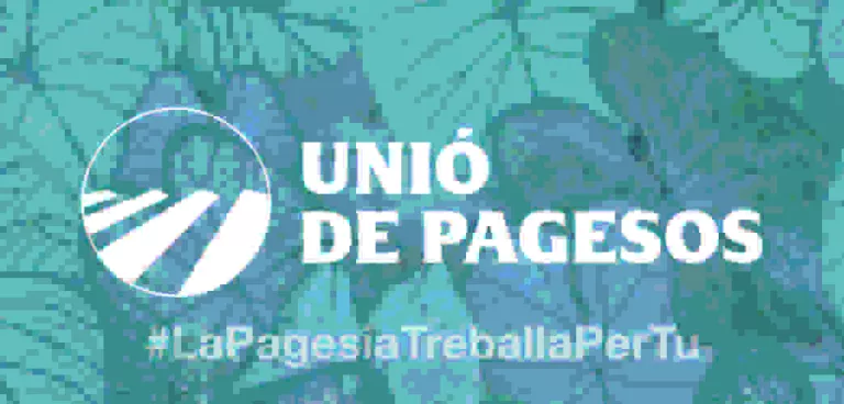 Unió de Pagesos celebra que l'Estat permeti el transport de treballadors al camp