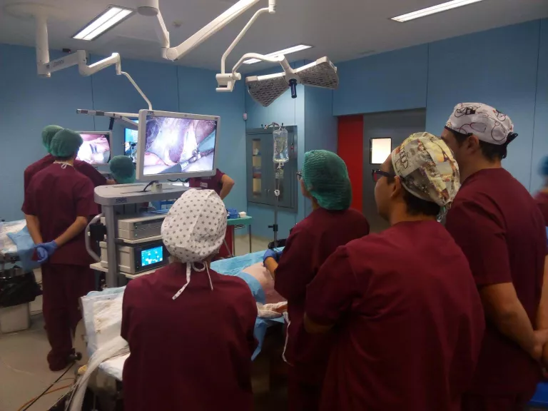 L'Hospital Arnau organitza un curs per abordar el tractament del càncer de pròstata