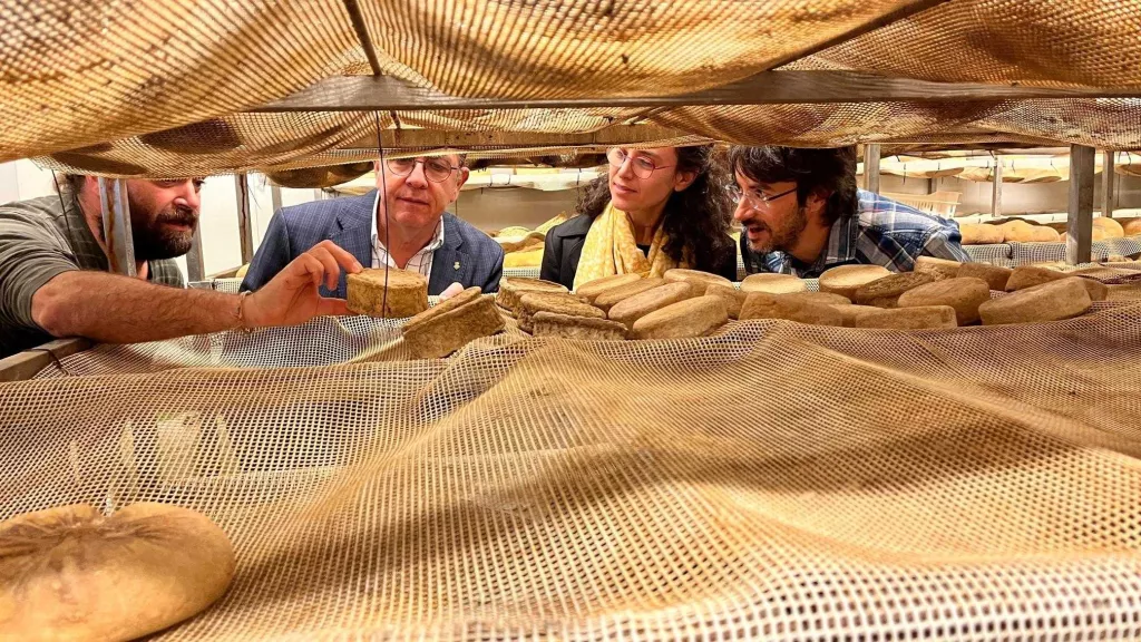 El Palau d’Anglesola organitza la 8a Mostra de Formatges Artesans de Ponent