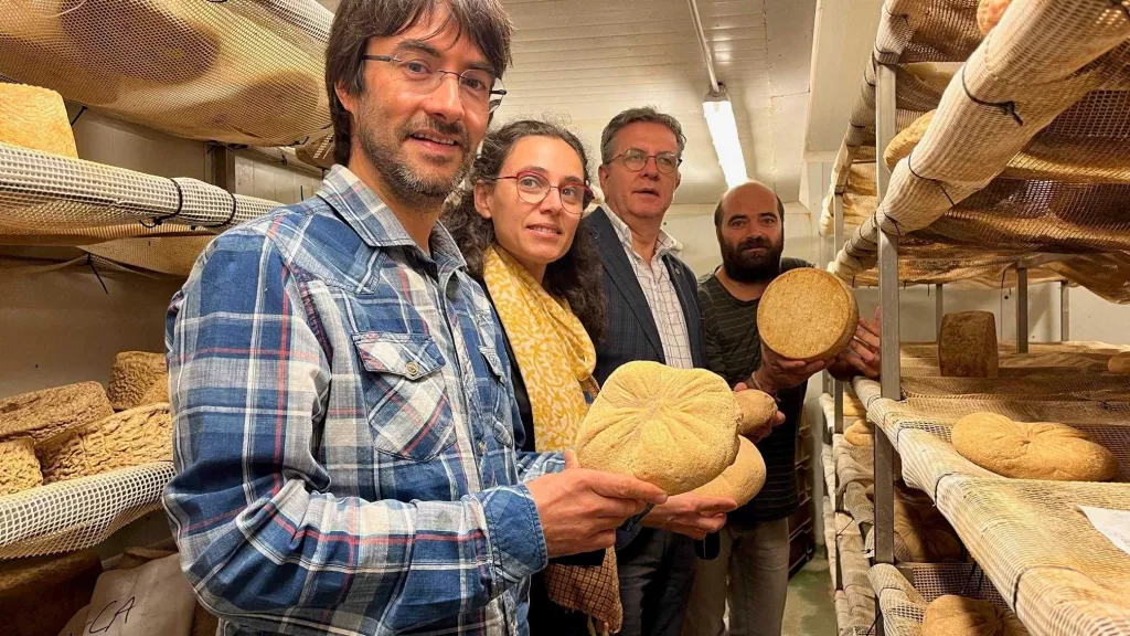 El Palau d’Anglesola organitza la 8a Mostra de Formatges Artesans de Ponent
