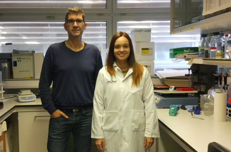 Descobreixen una relació genètica entre els canvis en la funció cardiovascular i l'Alzheimer