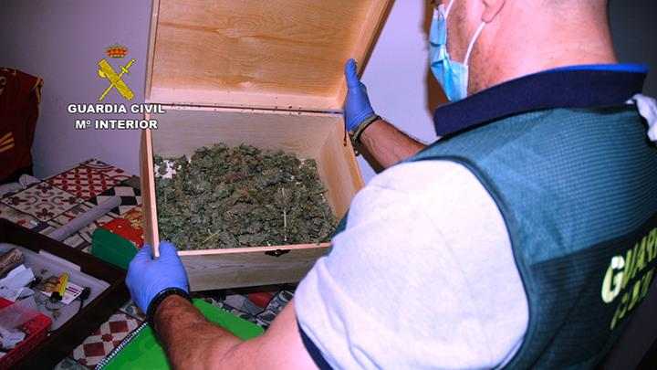 Desarticulats dos grups criminals de tràfic de drogues a diversos municipis de Lleida