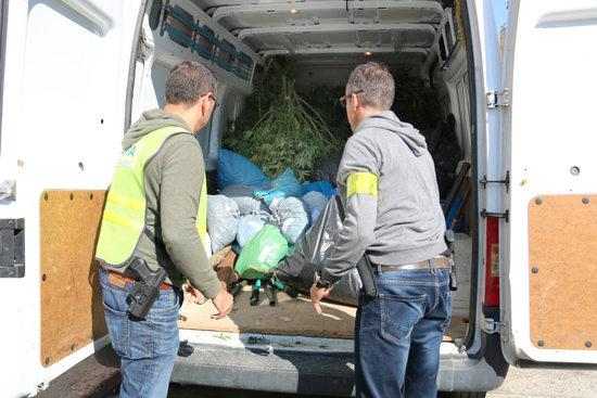 Demanen presó per a set homes d'una família d'Alfarràs per tràfic de drogues