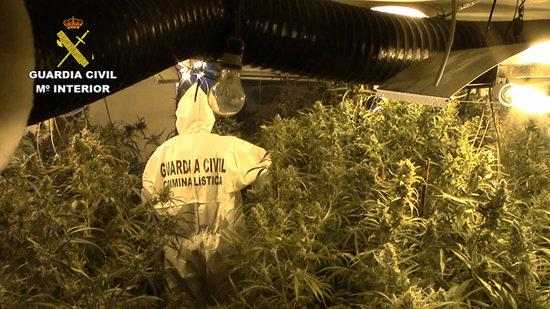 Demanen entre 4 i 9 anys de presó a deu acusats de traficar amb drogues a Lleida