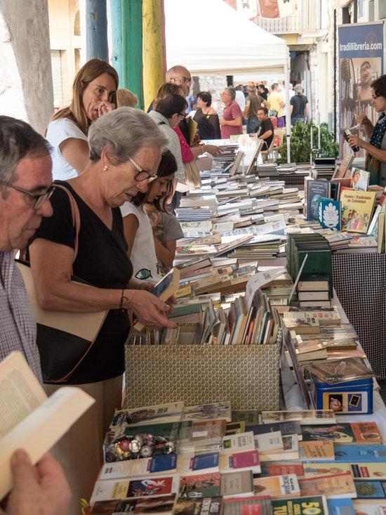 Organyà manté la celebració de la Fira del Llibre del Pirineu, amb una vintena d'editorials i llibreries participants