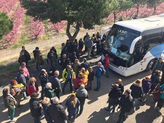 Aitona i Seròs anul·len les rutes guiades de la floració com a mesura preventiva pel coronavirus