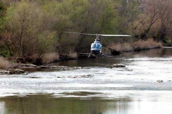 Endesa regula el cabal del Segre i l'Ebre per combatre la mosca negra