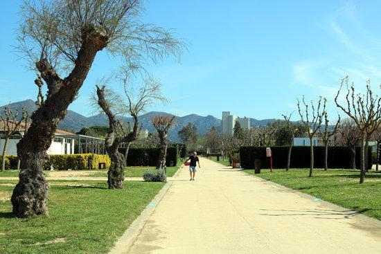 El sector turístic dona per perduda la Setmana Santa i mira amb preocupació la temporada estival