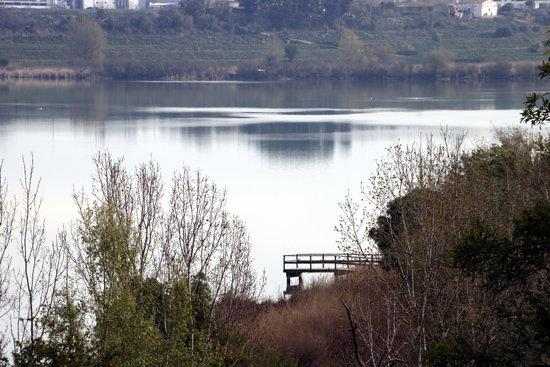 L'estany d'Ivars i Vila-sana es buidarà per millorar la qualitat de l'aigua