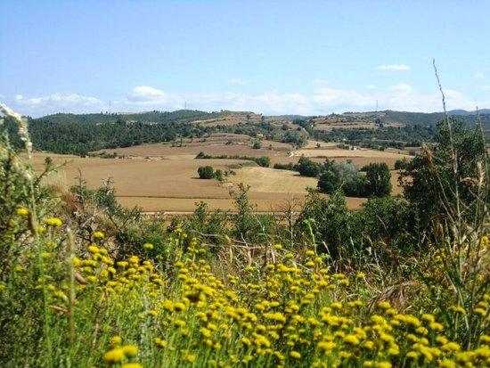Agricultura convoca els ajuts associats al Contracte Global d'Explotació per al 2020