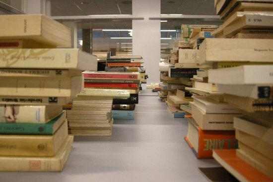 Primer congrés virtual a la UdL en l'estat d'alarma per la covid-19