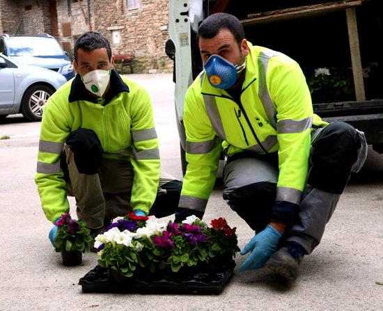 Sort regala dos flors a cada casa del municipi per celebrar Sant Jordi