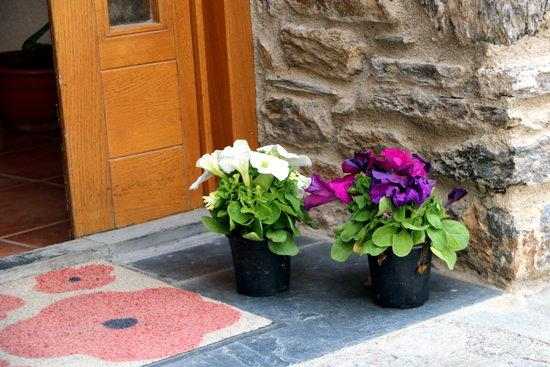Sort regala dos flors a cada casa del municipi per celebrar Sant Jordi