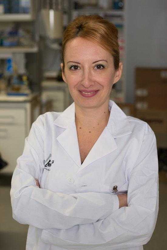 Un estudi lleidatà demostra l'efecte protector d'una proteïna per reduir la progressió de la fibrosi dels ronyons