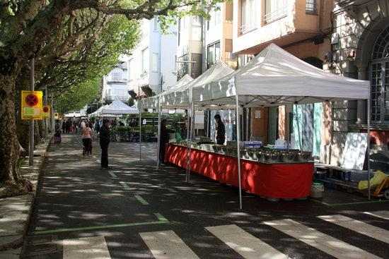 ⏯️ La Seu d'Urgell recupera el mercat setmanal amb una quinzena de parades
