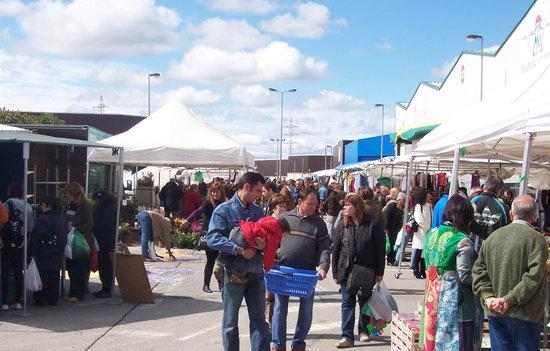 Reobre el Mercat Municipal de Torrefarrera extremant les mesures de seguretat