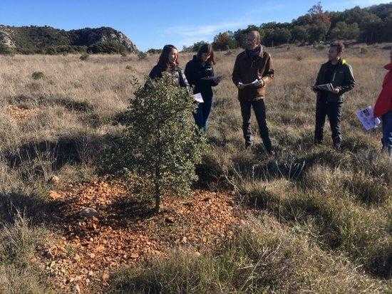 Una recerca del CTFC i la UdL constata que la tòfona pot "donar vida" als camps abandonats del Pirineu