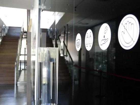 ⏯️ Els museus de Lleida reobren al públic