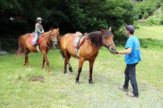 ⏯️ Les hípiques de l'Alt Pirineu i Aran ja comencen a fer les primeres sortides