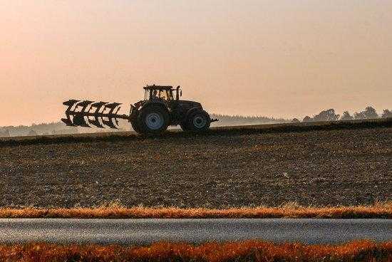 Jordà trasllada al ministre Planas el malestar del sector sobre el Pla Renove agrari