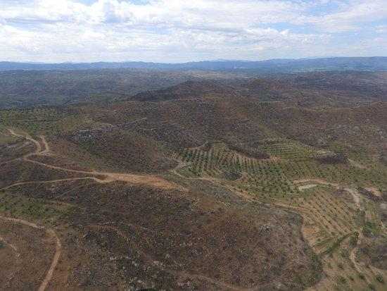 ⏯️ La zona cremada per l'incendi de la Ribera d'Ebre, un any després a vista de dron