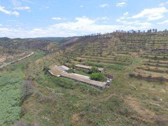 ⏯️ La zona cremada per l'incendi de la Ribera d'Ebre, un any després a vista de dron