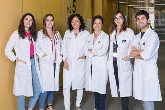 Una recerca lleidatana revela els beneficis de la inhibició de la calpaina per tractar l'atròfia muscular espinal