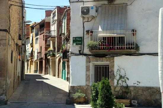 ⏯️ Argimon, sobre el Segrià: "Semblaria que tendim a l'estabilització des del punt de vista epidemiològic"