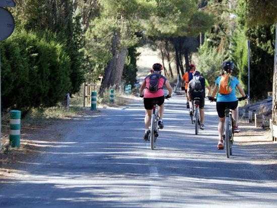 ⏯️ Rutes per Utxesa, un dels pocs espais naturals on els lleidatans i veïns del Baix Segrià poden anar pel confinament
