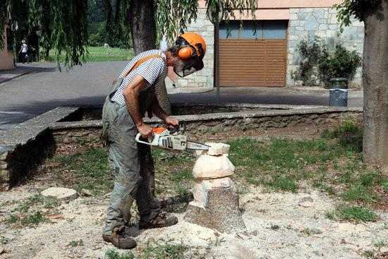 ⏯️ Esterri d'Àneu dissenya un circuit de 25 escultures de fusta de flora i fauna del Pirineu