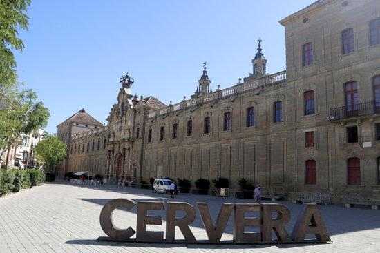 Cribratge massiu a Cervera després de l'increment de positius els darrers dies