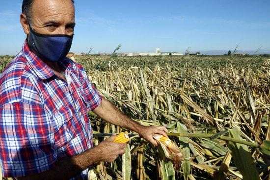 ⏯️ Les ventades provoquen importants danys a cultius i fruita tardana de Ponent