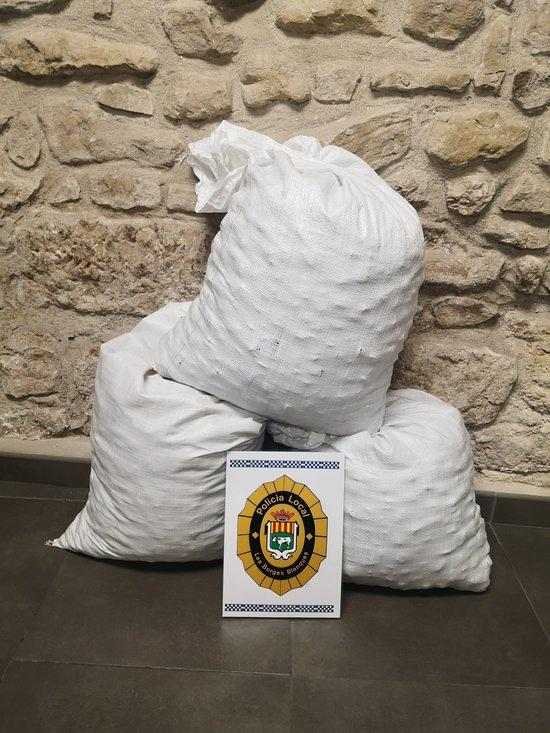 Comissen més de 45 kg d'ametlles furtades a les Borges