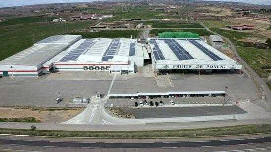 Fruits de Ponent es converteix en grup cooperatiu