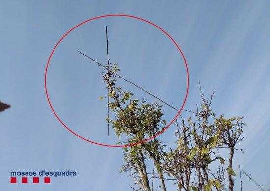 Denuncien a dos veïns de Balaguer per capturar ocells amb arts prohibides a Corbins