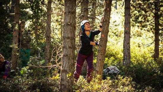 El projecte 'Boscos de Muntanya' acull més de 300 voluntaris per millorar els boscos del Pallars Sobirà i el Ripollès
