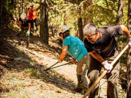 El projecte 'Boscos de Muntanya' acull més de 300 voluntaris per millorar els boscos del Pallars Sobirà i el Ripollès