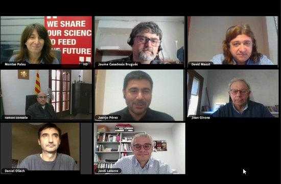 L'IRTA i la Diputació de Lleida anuncien la creació d'una nova parcel·la experimental d'oliveres