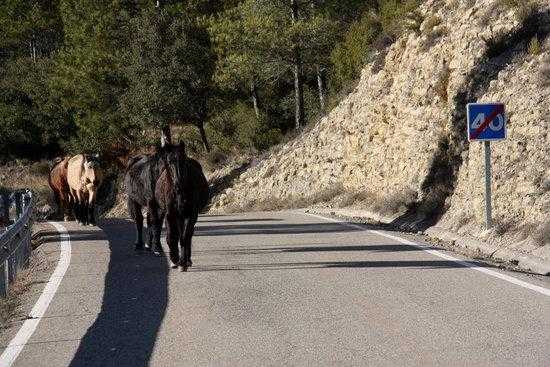 ⏯️ La Fundació Miranda deixa la finca que tenia arrendada per falta de recursos econòmics
