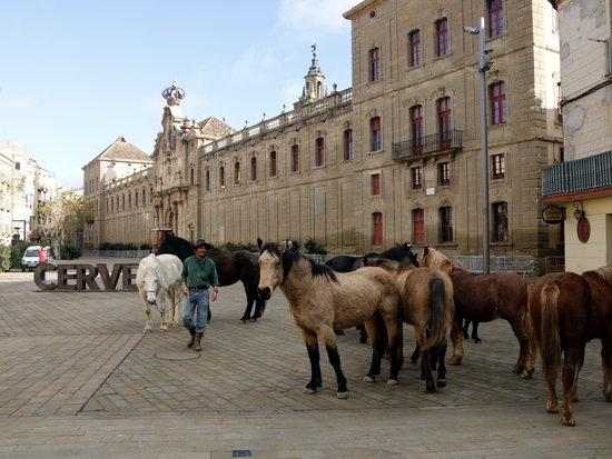 ⏯️ La Fundació Miranda deixa la finca que tenia arrendada per falta de recursos econòmics