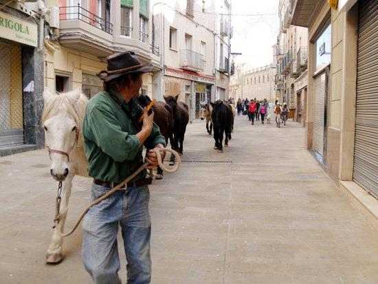 ⏯️ La Fundació Miranda deixa la finca que tenia arrendada per falta de recursos econòmics