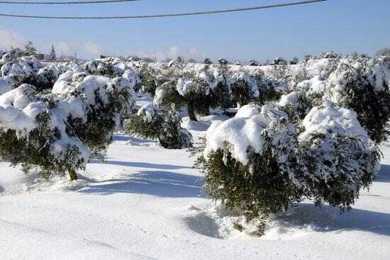 ⏯️ Pobles de les Garrigues acceleren la retirada de neu per evitar la formació de gel